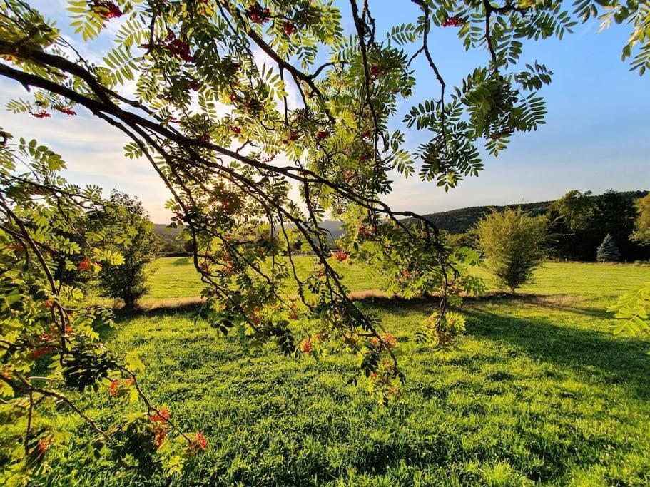 Le Haut' Mont Manhay Bagian luar foto
