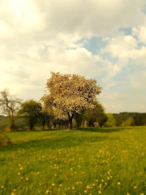 Le Haut' Mont Manhay Bagian luar foto